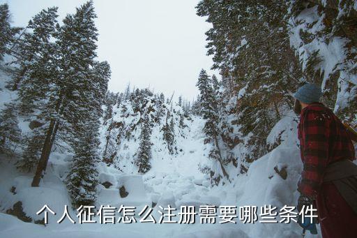 個(gè)人征信怎么注冊(cè)需要哪些條件