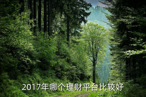 2017投資理財什么最好，2017年哪些理財產(chǎn)品比較靠譜