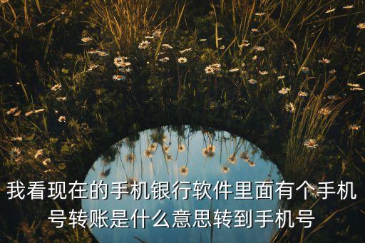 我看現(xiàn)在的手機銀行軟件里面有個手機號轉(zhuǎn)賬是什么意思轉(zhuǎn)到手機號