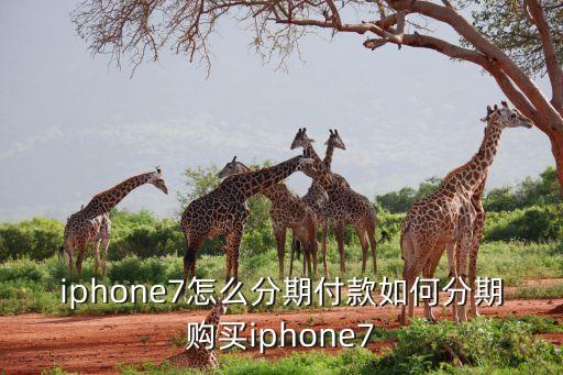蘋果7plus淘寶怎么分期，iphone7怎么分期付款如何分期購買iphone7
