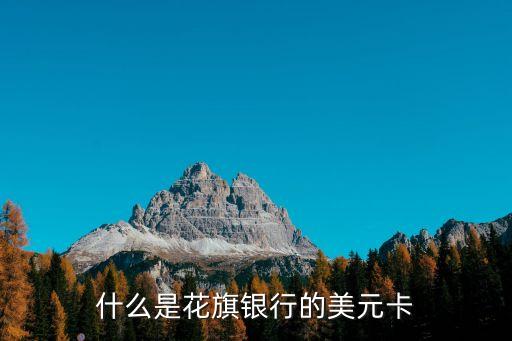 信用卡美元卡是什么卡，什么是花旗銀行的美元卡
