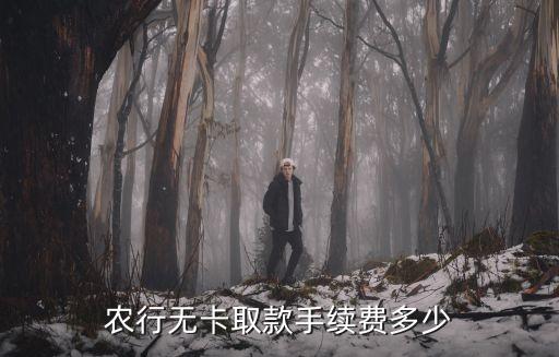 無卡取款需要什么手續(xù)費(fèi)多少，農(nóng)行無卡取款手續(xù)費(fèi)多少