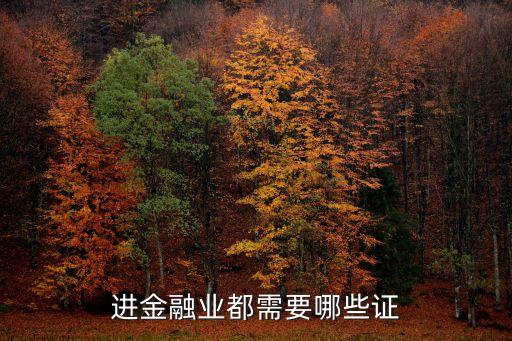 進金融業(yè)都需要哪些證