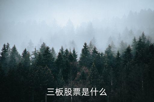 三板股票是什么