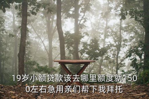 1500貸款用什么好，19歲小額貸款該去哪里額度就1500左右急用親們幫下我拜托