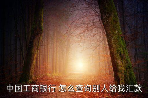 工行別人給轉賬怎么查，工商銀行網銀怎么查詢人家給我的匯款記錄