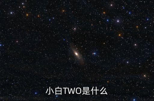 小白TWO是什么