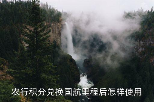 國航里程換什么用，農(nóng)行積分兌換國航里程后怎樣使用