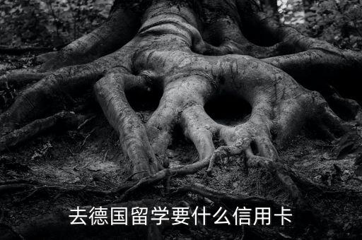 去德國留學要什么信用卡