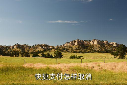 快捷支付怎樣取消