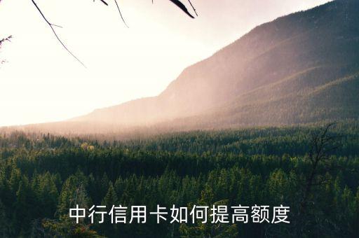 中行提額看什么，中行信用卡如何提高額度