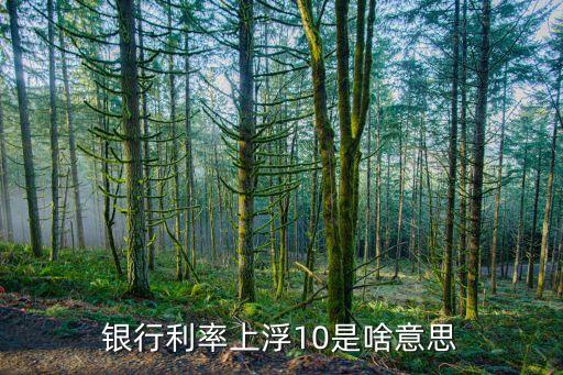 利率上浮10是什么意思，銀行利率上浮10是啥意思