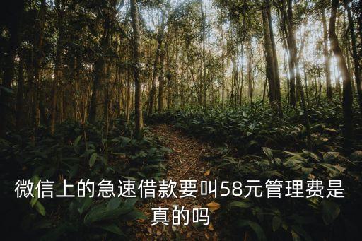 微貸利息管理費(fèi)是什么意思，管理費(fèi)是怎么回事利息的10就是比如年利