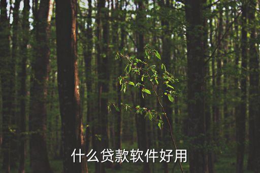 什么貸款軟件好用