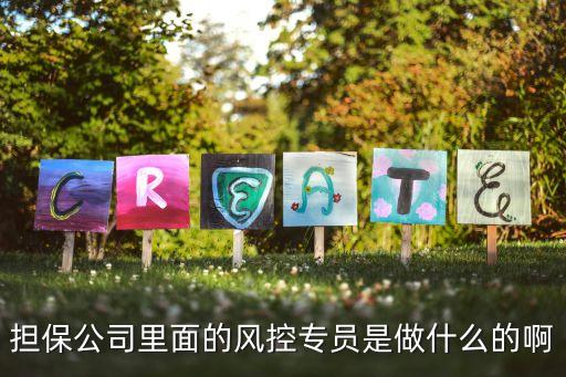 擔保公司里面的風控專員是做什么的啊