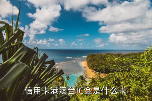 信用卡ic是什么卡，信用卡港澳臺IC金是什么卡