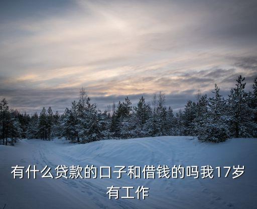 有什么貸款的口子和借錢的嗎我17歲有工作