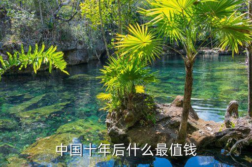 中國(guó)十年后什么最值錢(qián)