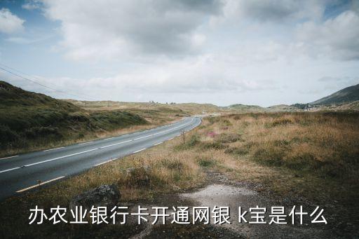 辦農(nóng)業(yè)銀行卡開通網(wǎng)銀 k寶是什么