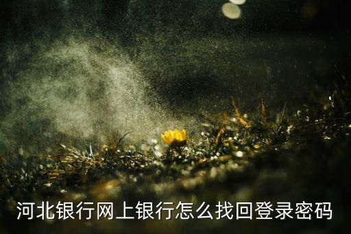 河北銀行公司賬戶登錄密碼是什么，請(qǐng)問一下河北銀行網(wǎng)上銀行登錄密碼有幾位