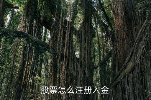 股票怎么注冊入金