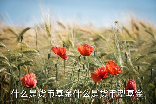 什么是貨幣基金什么是貨幣型基金