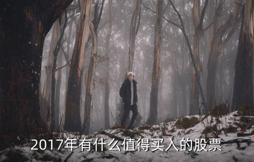 2017年有什么值得買(mǎi)入的股票