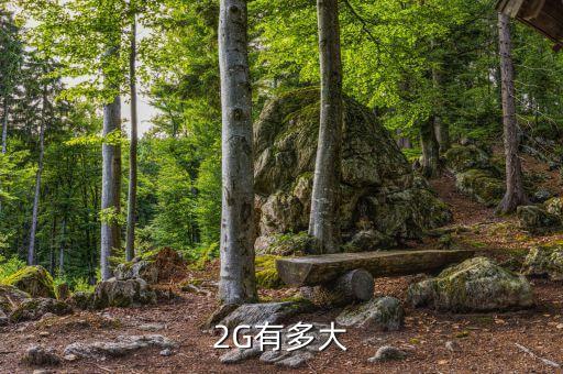 2g是什么，電腦內(nèi)存條上的規(guī)格2G是什么意思啊電腦內(nèi)存又是什么意思啊還
