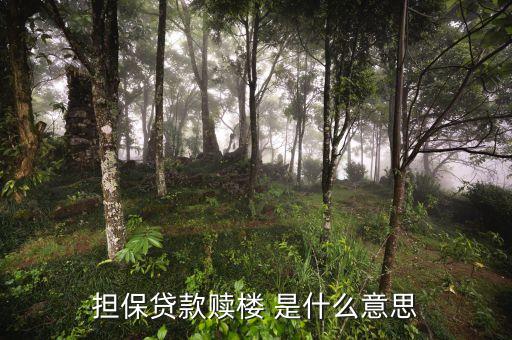 資金贖樓是什么意思，擔(dān)保貸款贖樓 是什么意思