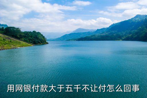 用網(wǎng)銀付款大于五千不讓付怎么回事