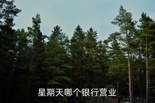 星期天哪個銀行營業(yè)