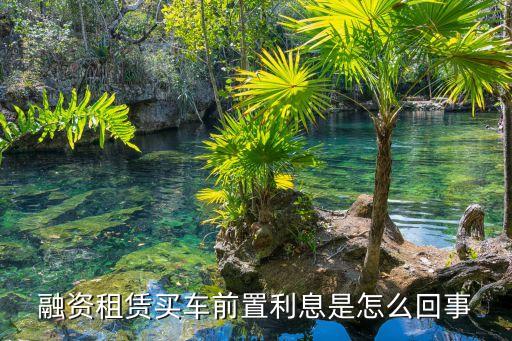 買車的前置利息是什么意思，奧迪貸款買車前期利息是什么意思