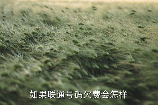 手機號欠費有什么后果，如果聯(lián)通號碼欠費會怎樣