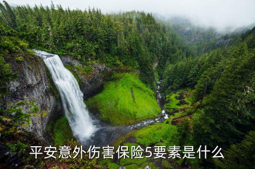 平安保險的要素是什么，平安意外傷害保險5要素是什么