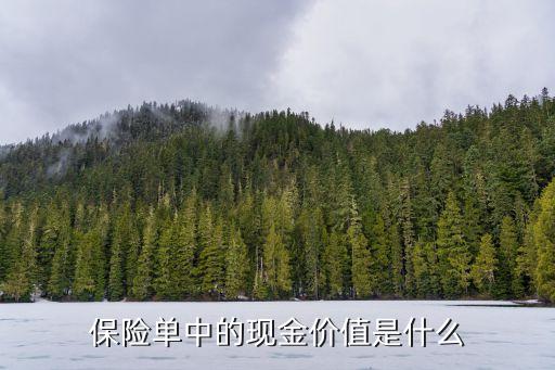 保險(xiǎn)現(xiàn)金價(jià)值是什么意思，保險(xiǎn)條款中的現(xiàn)金價(jià)值是甚么含義