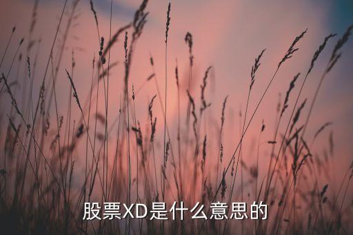 股票XD是什么意思的