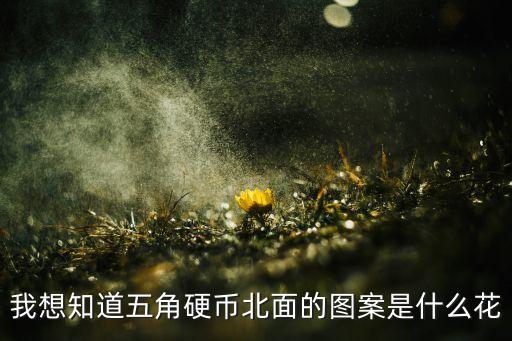 我想知道五角硬幣北面的圖案是什么花