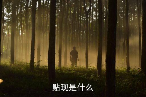 貼現(xiàn)是什么