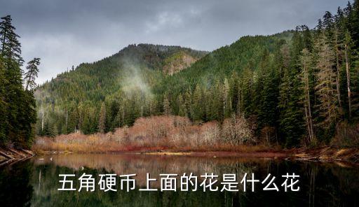 5角硬幣什么花，我想知道五角硬幣北面的圖案是什么花