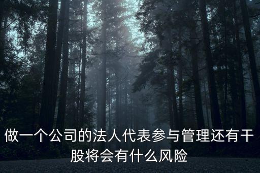 做一個(gè)公司的法人代表參與管理還有干股將會(huì)有什么風(fēng)險(xiǎn)