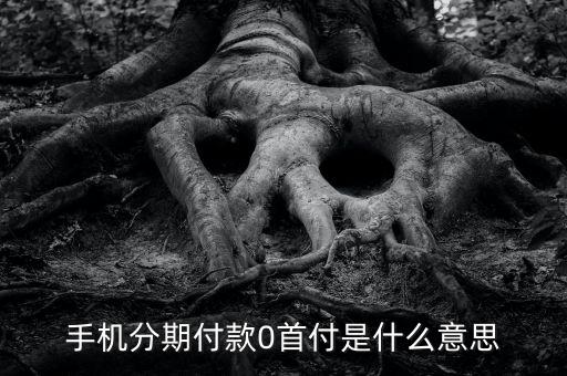 手機(jī)分期付款0首付是什么意思