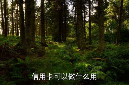 信用卡干什么用呢，信用卡是用來(lái)干嘛的