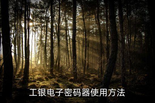 工銀電子密碼器使用方法