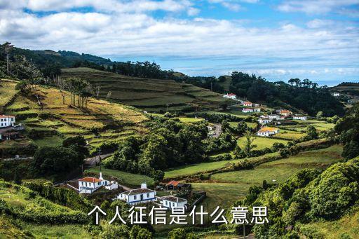 有征信報(bào)告是什么意思，征信報(bào)告是什么