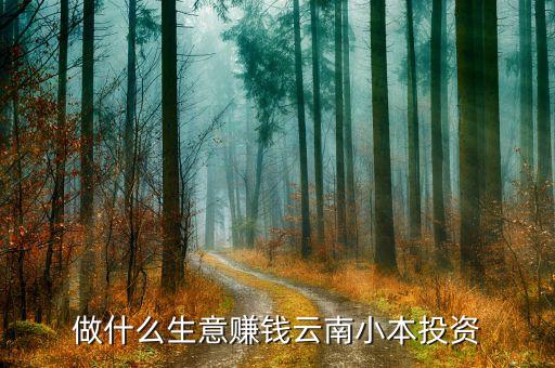 做什么賺錢，做什么生意賺錢云南小本投資