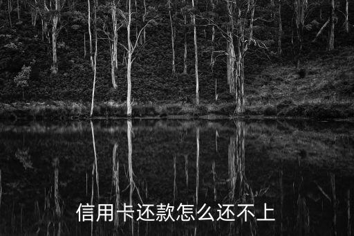 信用卡還款怎么還不上