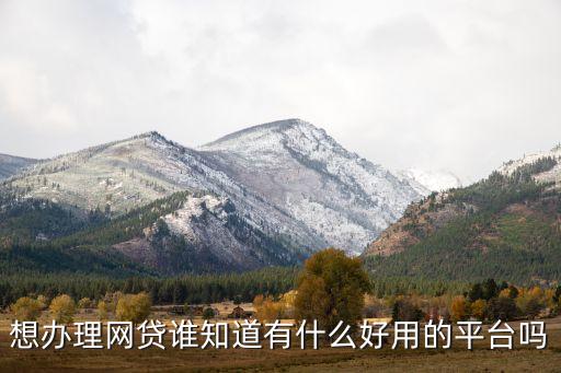 想辦理網(wǎng)貸誰(shuí)知道有什么好用的平臺(tái)嗎