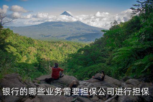 銀行的哪些業(yè)務需要擔保公司進行擔保