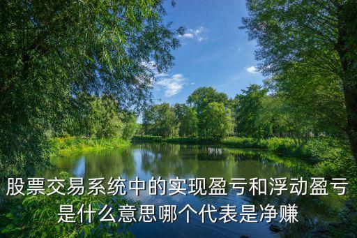 浮動(dòng)盈虧是什么意思，到底股票交易中浮動(dòng)盈虧和實(shí)現(xiàn)盈虧有什么區(qū)別