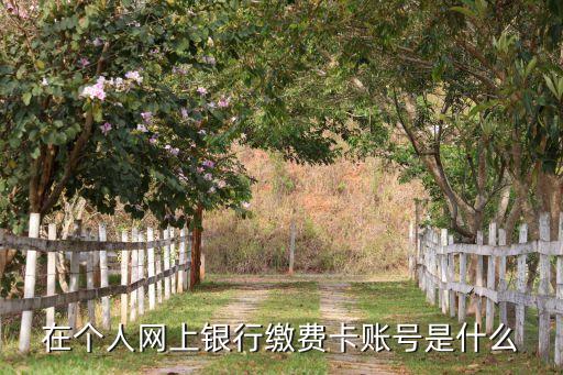 網(wǎng)銀充值卡號是什么意思，網(wǎng)銀充值在工商銀行上面說的支付卡賬號是什么